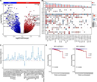 Integrated Characterization of lncRNA-Immune Interactions in Prostate Cancer